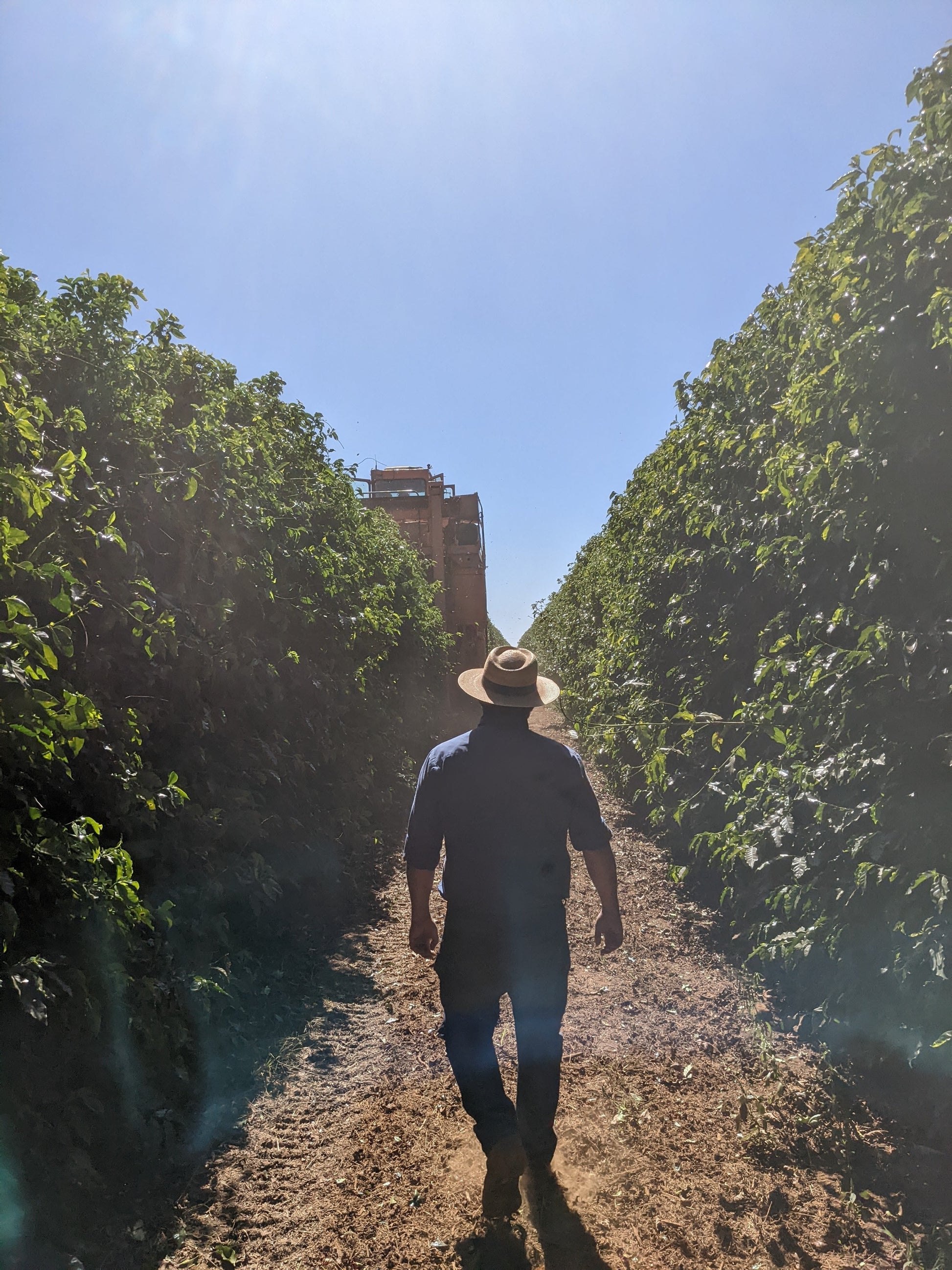 KB Coffee Roasters - Rio Brilhante Espresso Coffee Brazil Farm