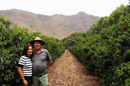 KB Coffee Roasters - Fazenda Monjolo, Brazil Espresso Specialty Coffee Producer