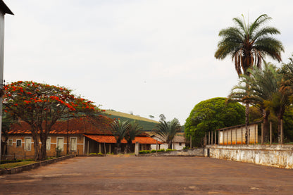 KB Coffee Roasters - Fazenda Monjolo, Brazil Espresso Specialty Coffee Farm