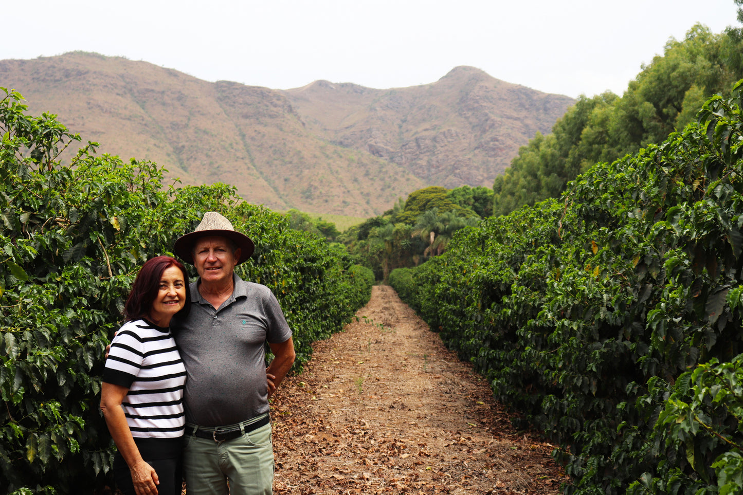 KB Coffee Roasters - Fazenda Monjolo Espresso Coffee Brazil Producer