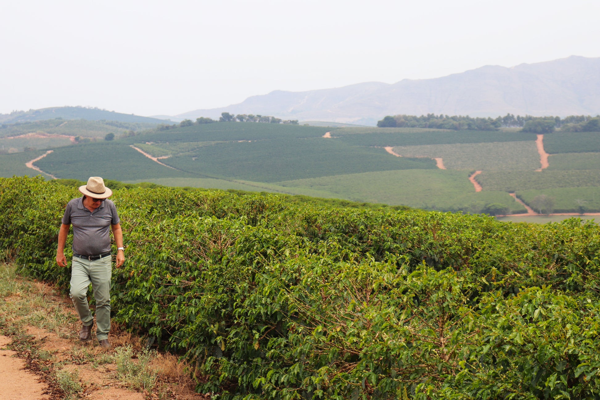 KB Coffee Roasters - Fazenda Monjolo Espresso Coffee Brazil Farm
