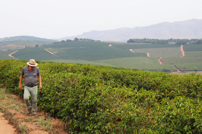 KB Coffee Roasters - Fazenda Monjolo Espresso Coffee Brazil Farm