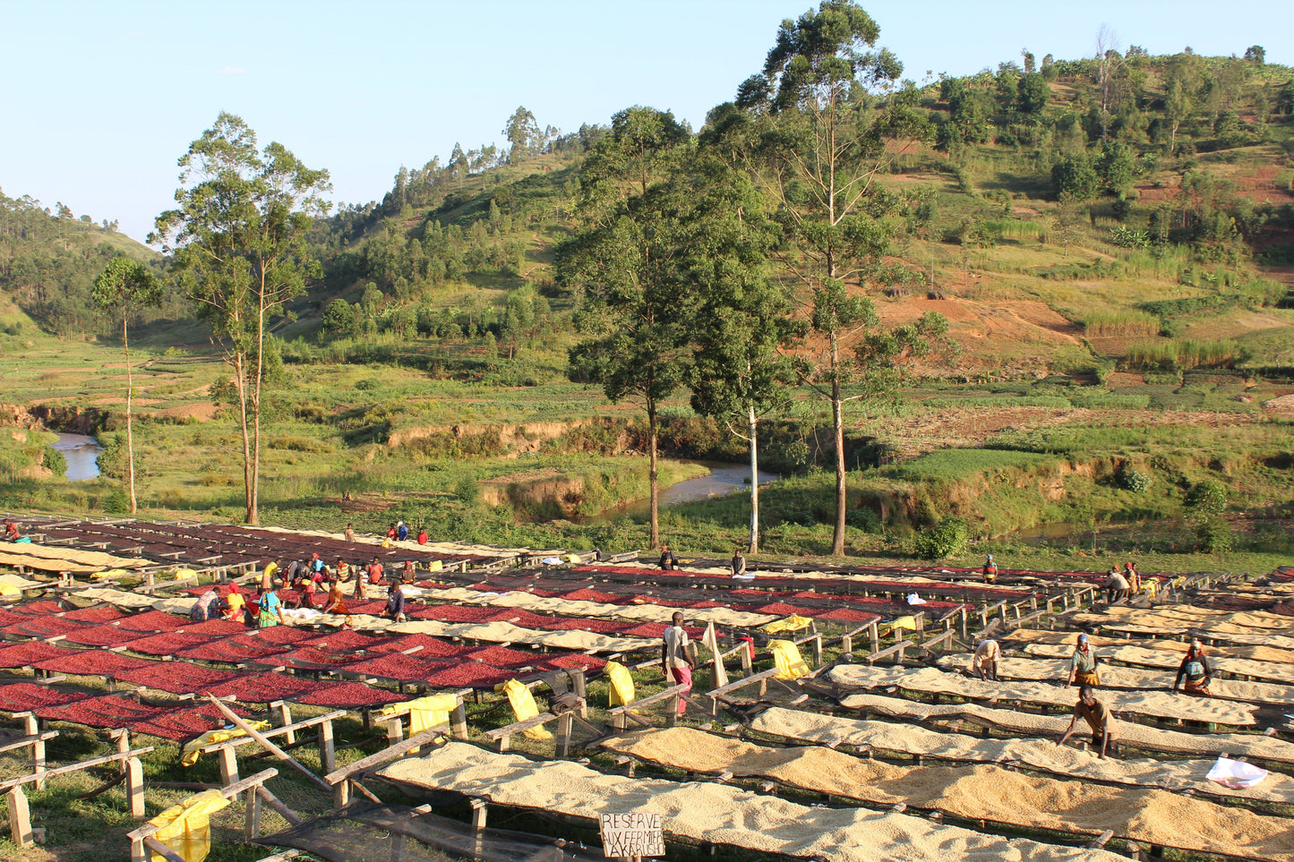KB Coffee Roasters - Gakenke Espresso Coffee Burundi Washing Station