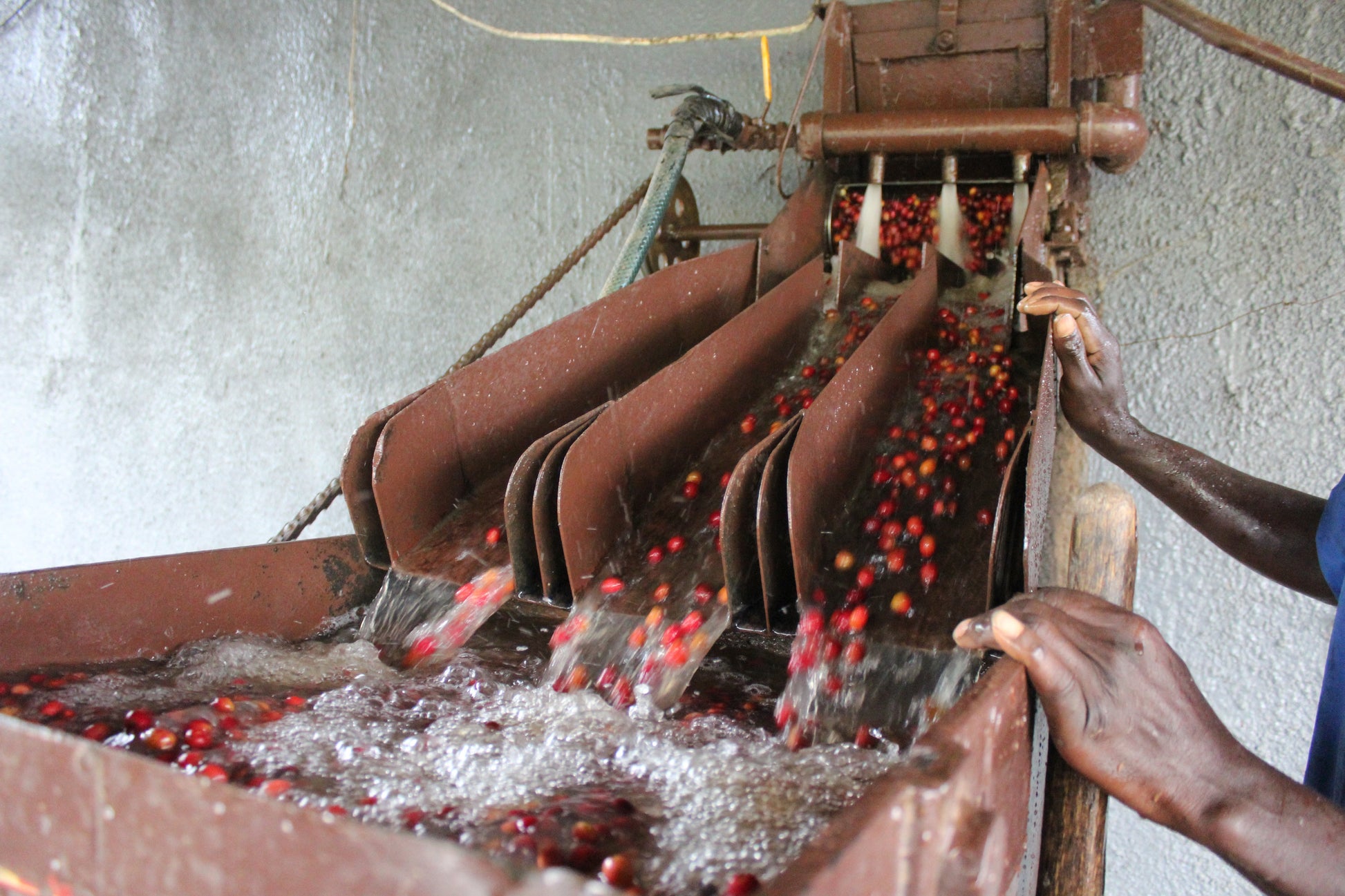 KB Coffee Roasters - Gakenke Espresso Coffee Burundi