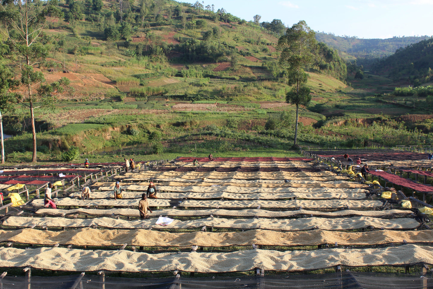 KB Coffee Roasters - Gakenke Espresso Coffee Burundi Washing Station