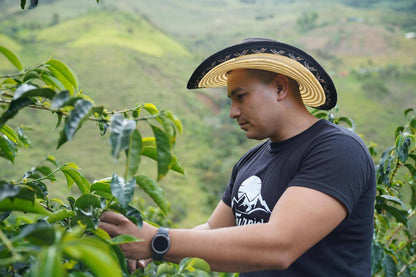 Parcel - COL002 El Turpial Specialty Coffee Colombia Producer
