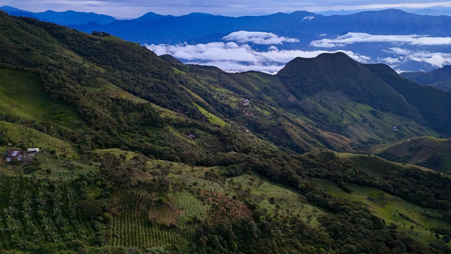 Parcel - COL002 El Turpial Specialty Coffee Colombia Views