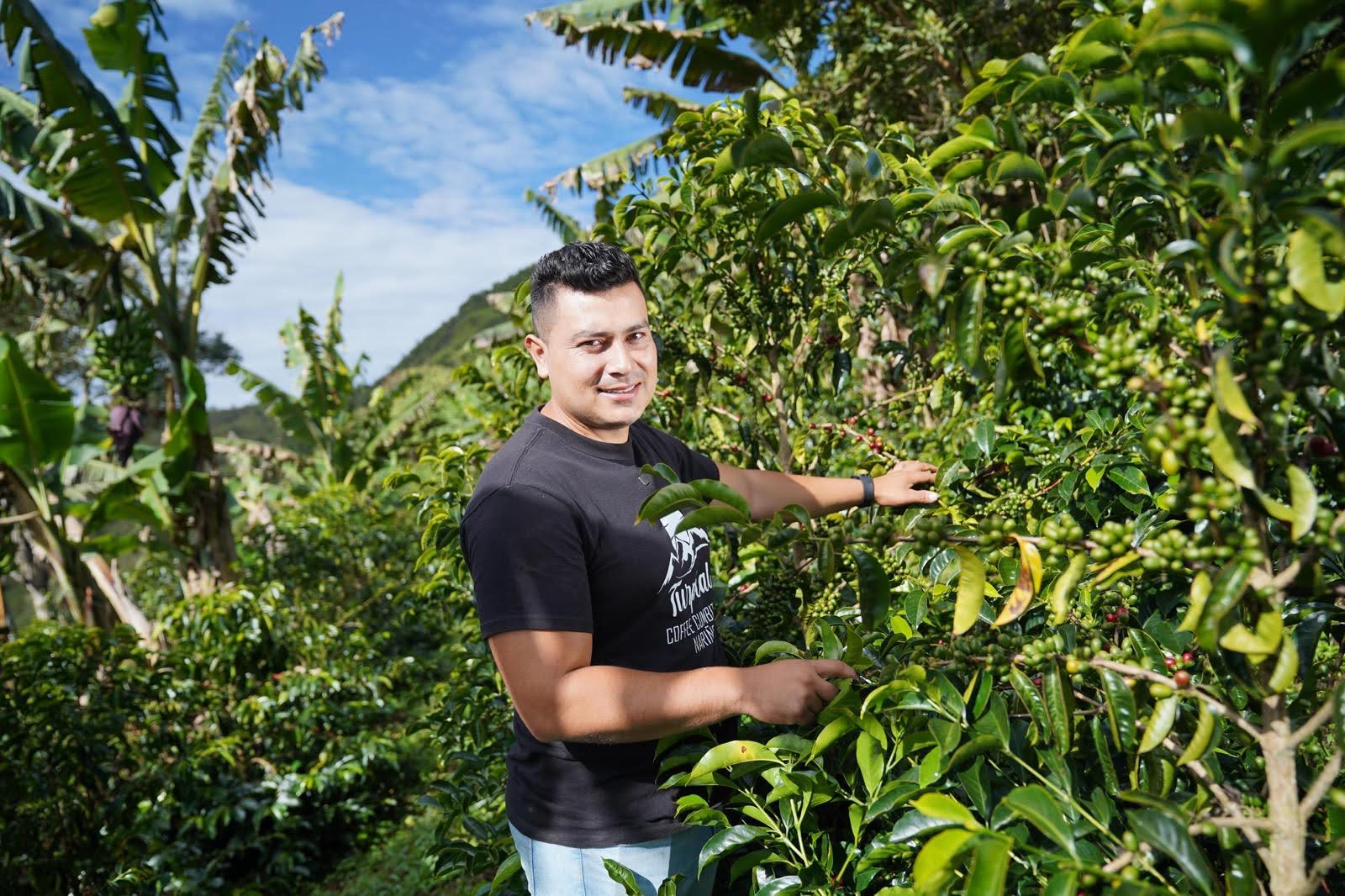 Parcel - COL003 El Turpial Honey Processed Specialty Coffee Colombia Producer