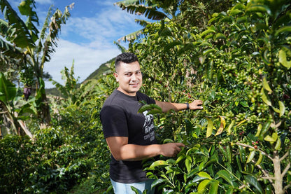 Parcel - COL003 El Turpial Honey Processed Specialty Coffee Colombia Producer