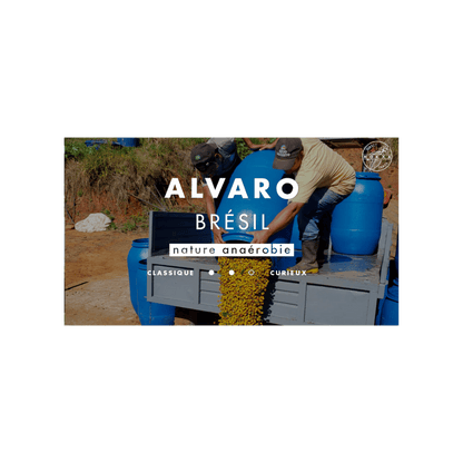 Cafe Mokxa - Alvaro Brazil Specialty Coffee