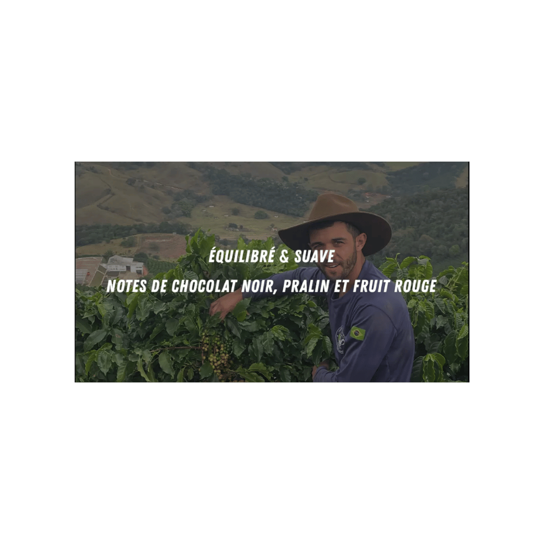 Cafe Mokxa Brazil Baixadao Specialty Coffee Tasting Notes