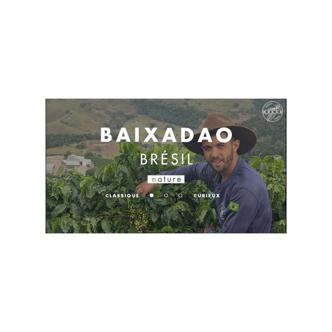 Cafe Mokxa Brazil Baixadao Specialty Coffee