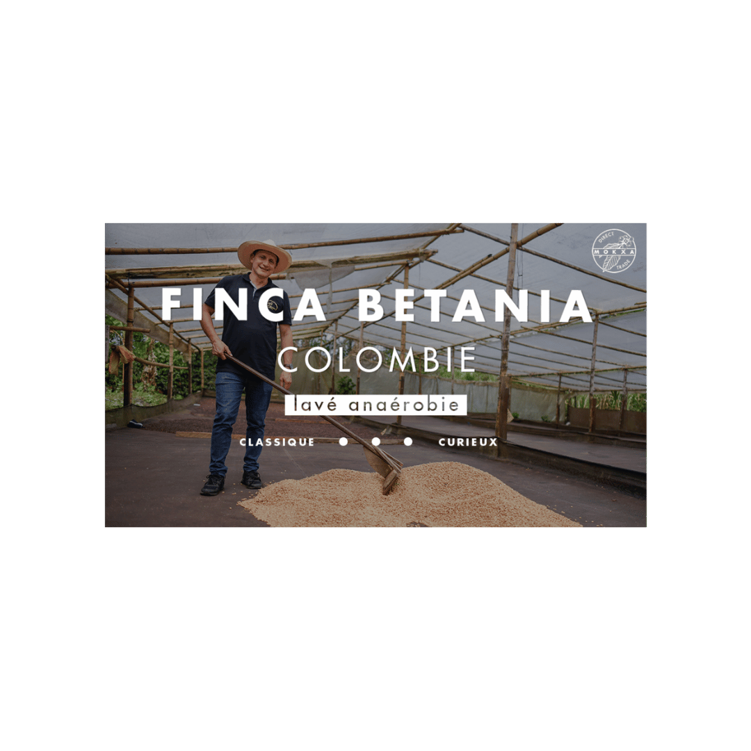 Cafe Mokxa - Finca Betania Colombia Specialty Coffee