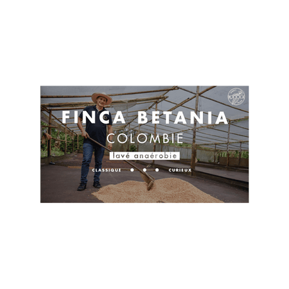 Cafe Mokxa - Finca Betania Colombia Specialty Coffee