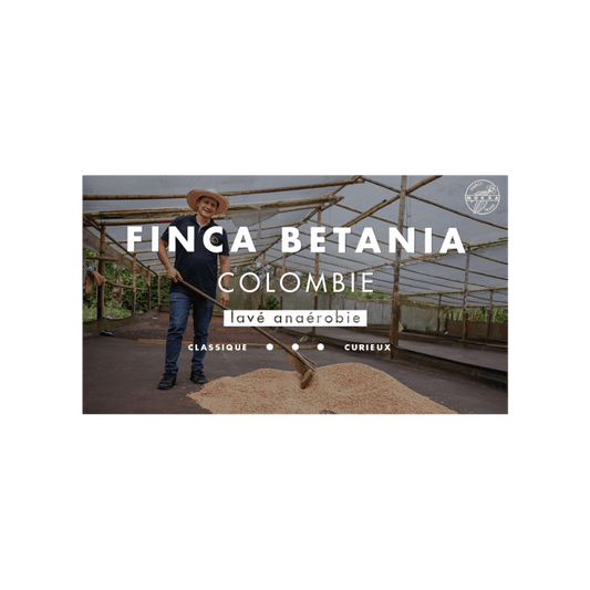 Cafe Mokxa - Finca Betania Colombia Specialty Coffee