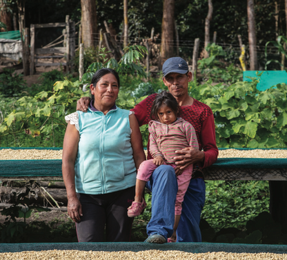 Parcel - PER001 Finca Bella Vista Filter Coffee Peru Farmers