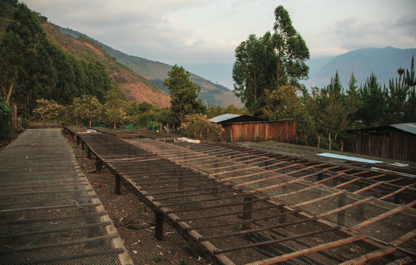 Parcel - PER001 Finca Bella Vista Filter Coffee Peru Farm