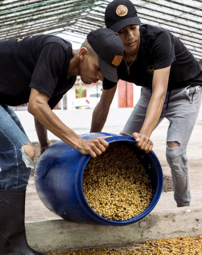 KB Coffee Roasters - El Placer Gesha Filter Coffee Colombia