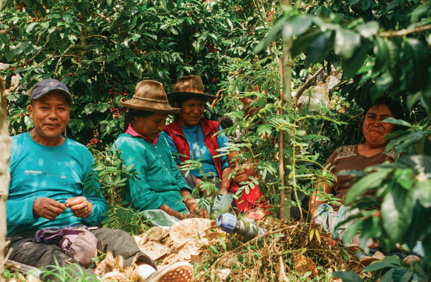 Parcel - PER-002 Cirilo Andarapino Filter Coffee Peru Workers