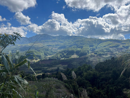 KB Coffee Roasters - Fuyan Espresso Coffee China Farm