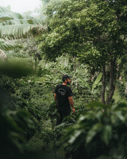 KB Coffee Roasters - Aroma Nativo PB 1178 Filter Coffee Colombia Farm