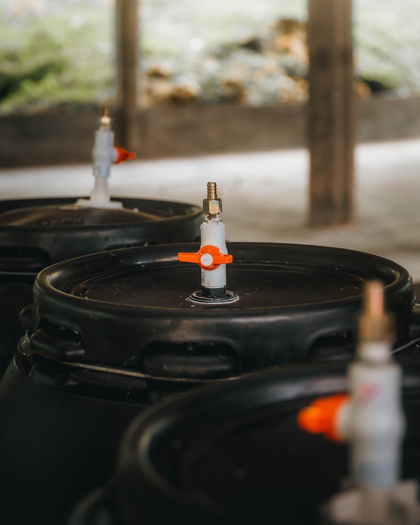 KB Coffee Roasters - Aroma Nativo PB 1178 Filter Coffee Colombia Process