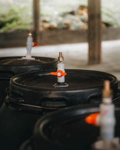 KB Coffee Roasters - Aroma Nativo PB 1178 Filter Coffee Colombia Process