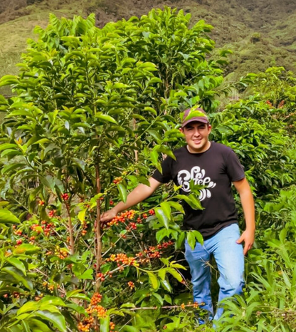 KB Coffee Roasters - Las Flores Filter Coffee Colombia Producer