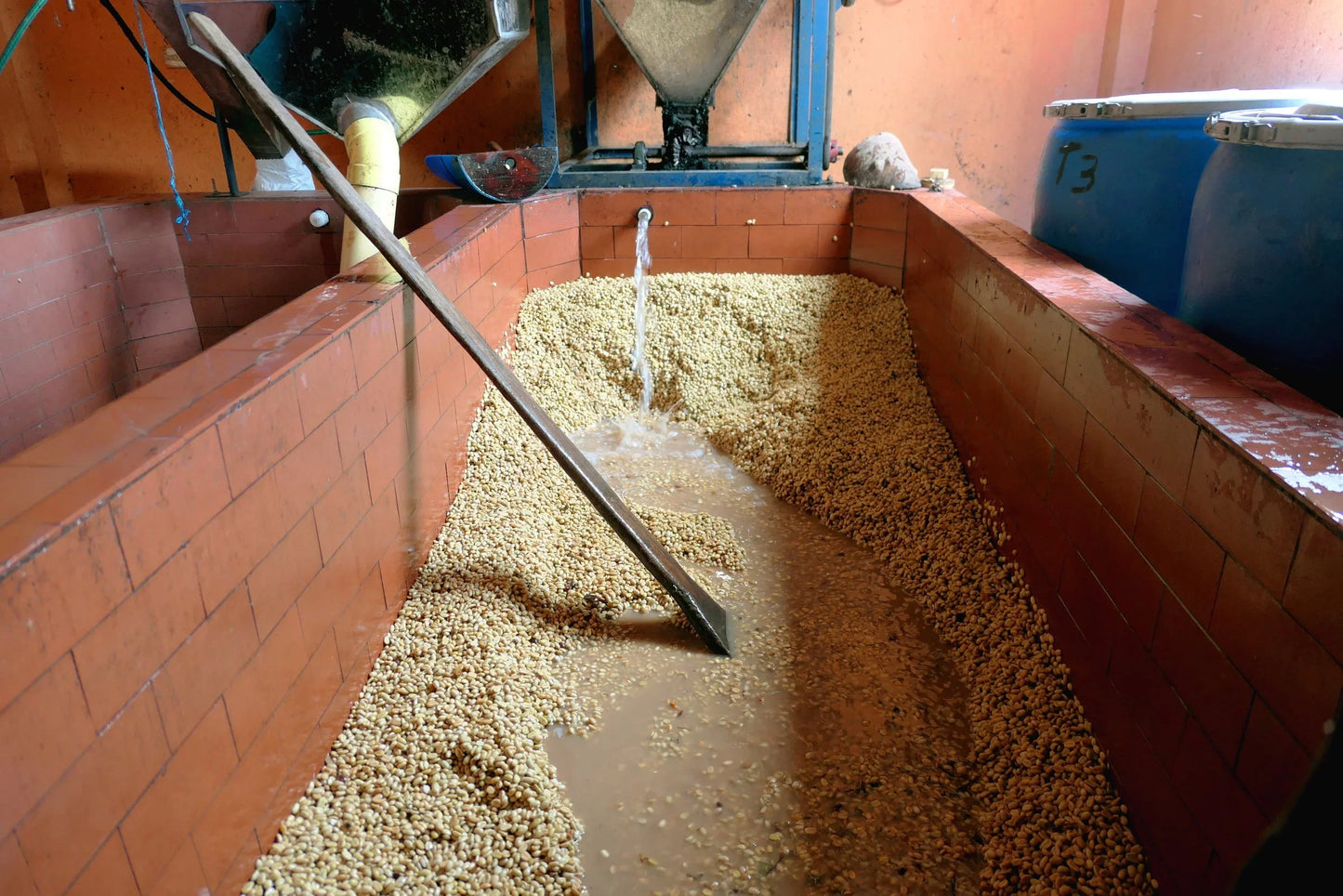 Betania SL28, Filter - Colombia