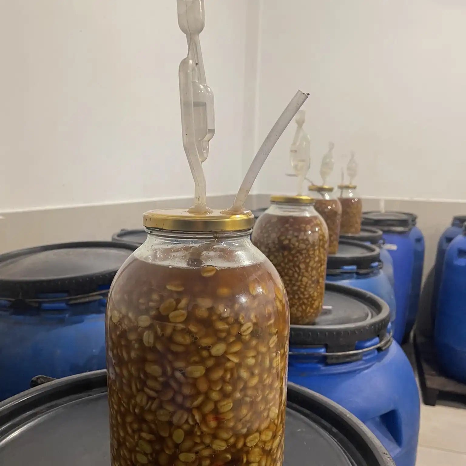 KB Coffee Roasters - Nogales Essence Gesha Filter Coffee Colombia Fermentation