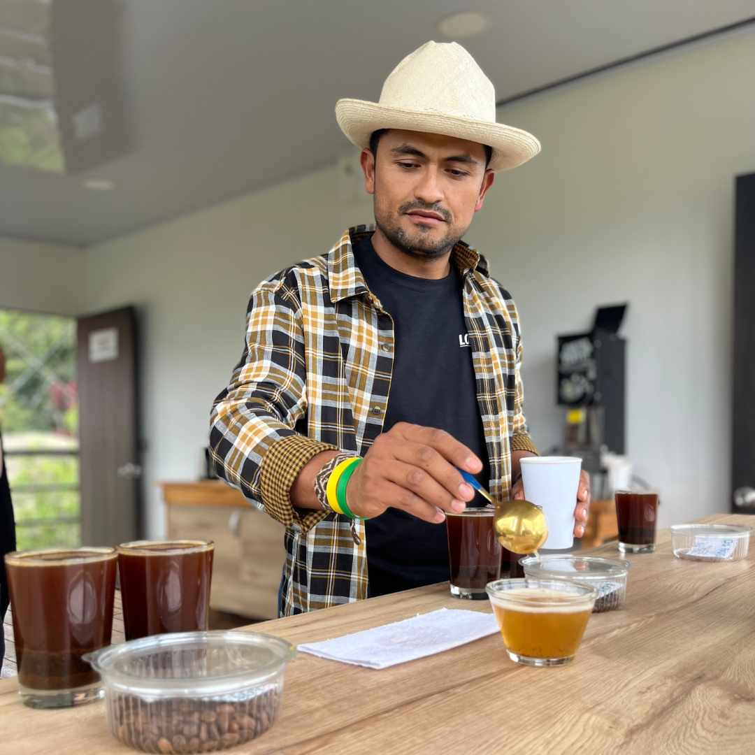 KB Coffee Roasters - Nogales Crimson Java Filter Coffee Colombia Producer