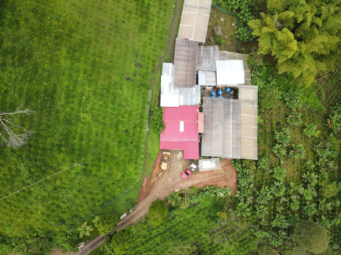 KB Coffee Roasters - El Diviso Umbligon Decaf Coffee Colombia Farm