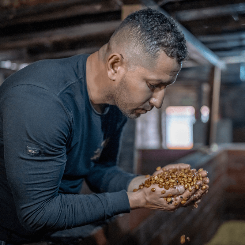 KB Coffee Roasters - Zarza Aji Filter Coffee Colombia Producer