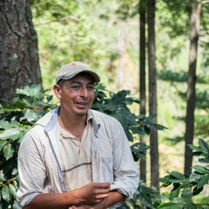 Gust Coffee Roasters - Opalaca Espresso Coffee Honduras Grower