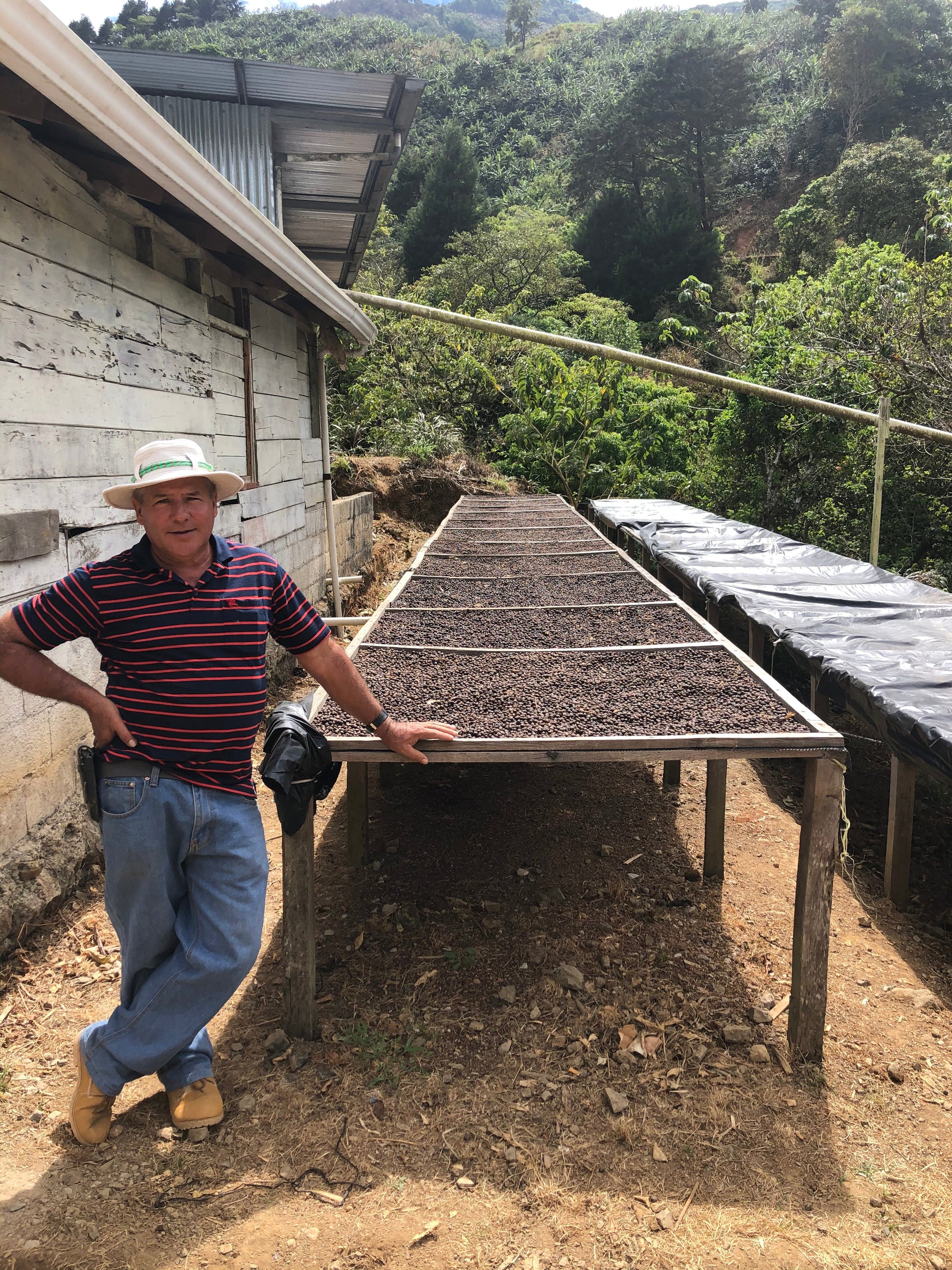 KB Coffee Roasters - Chirascuasa Filter Coffee Costa Rica Drying