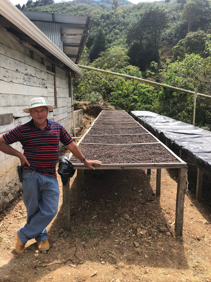 KB Coffee Roasters - Chirascuasa Filter Coffee Costa Rica Drying