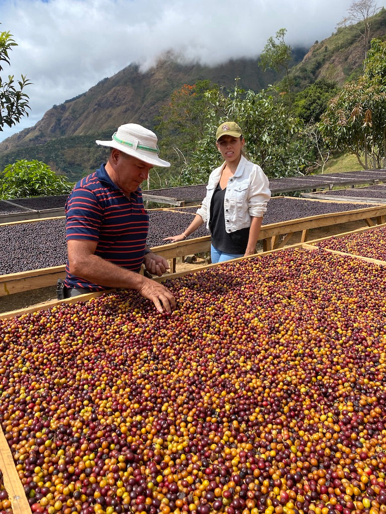 KB Coffee Roasters - Chirascuasa Filter Coffee Costa Rica