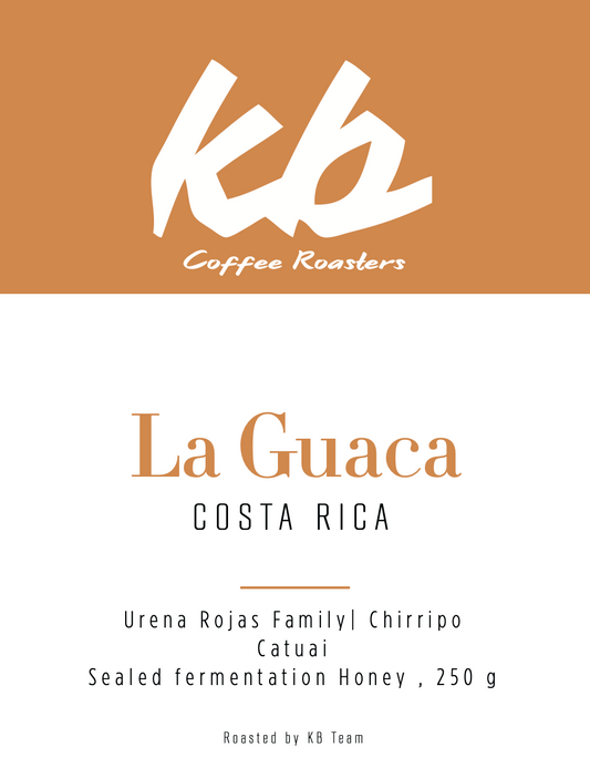 La Guaca, Filter - Costa Rica