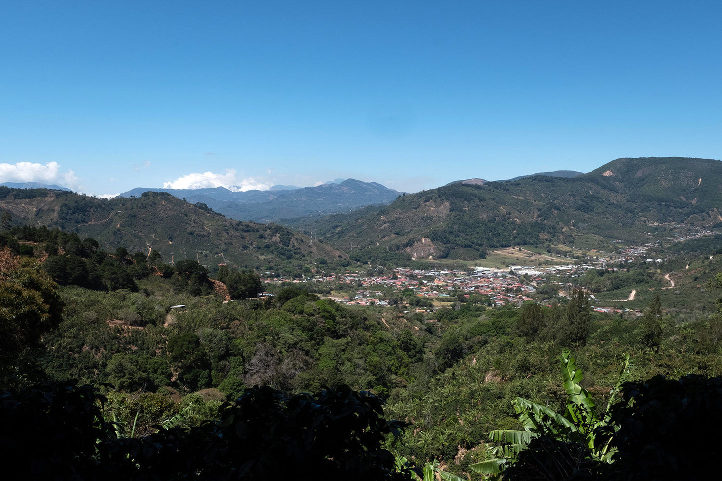 KB Coffee Roasters - La Pachuca Filter Coffee Costa Rica Landscape