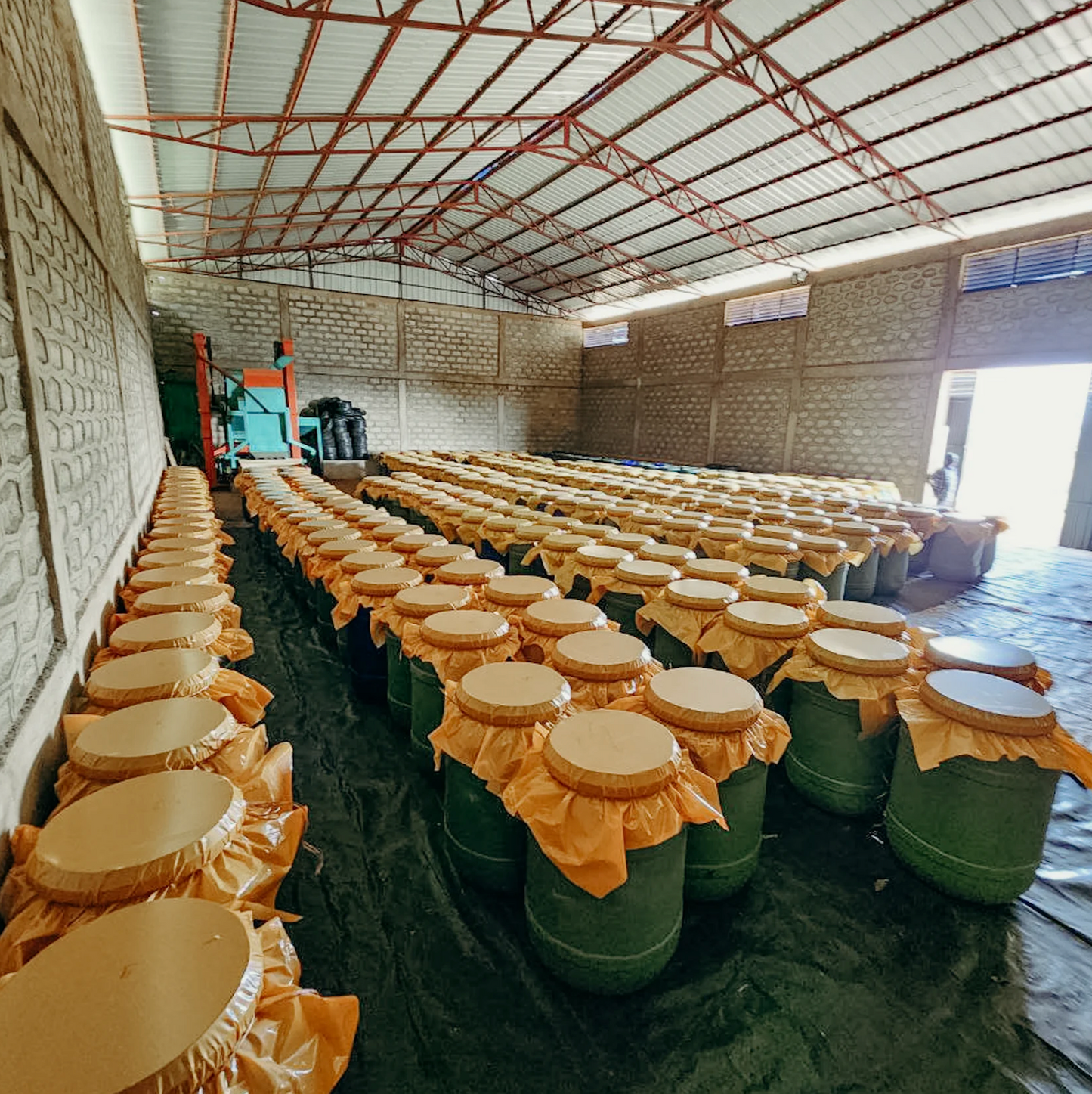 KB Coffee Roasters - Banko Gotiti Filter Coffee Ethiopia Carbonic Maceration