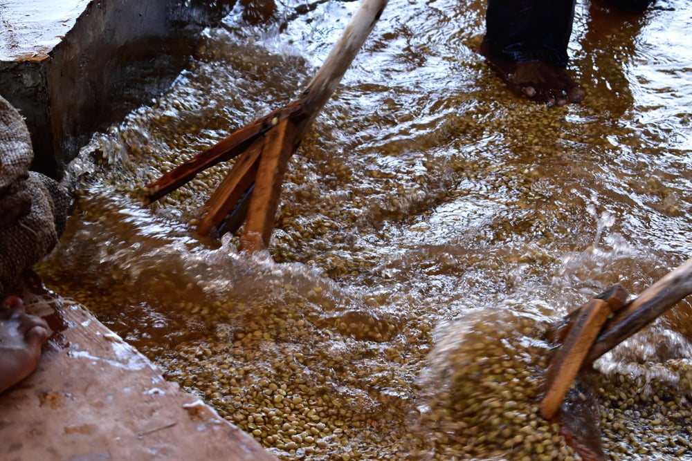 KB Coffee Roasters - Uraga Oro Espresso Coffee Ethiopia Processing