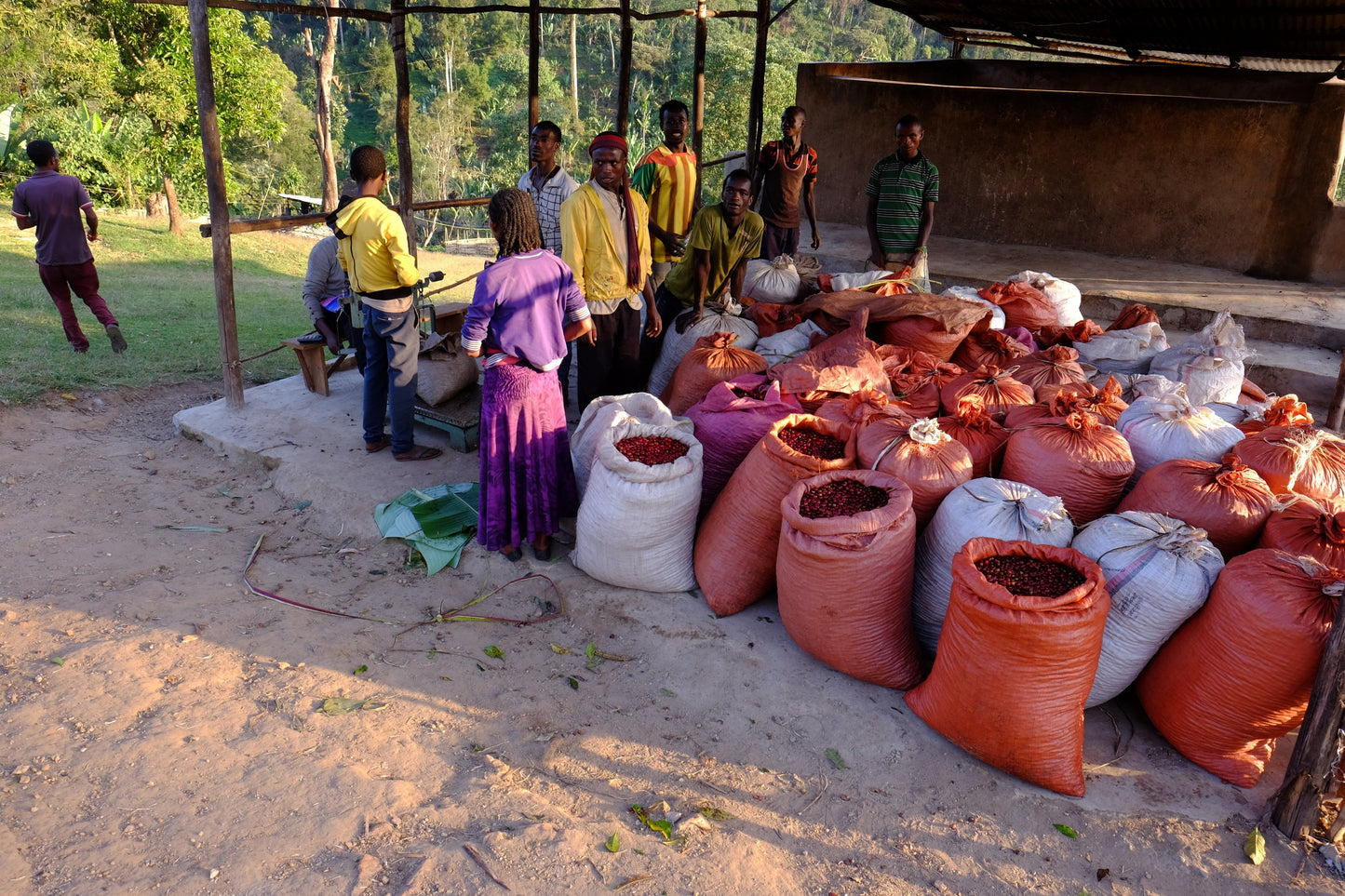 KB Coffee Roasters - Urga Carbo Espresso Coffee Ethiopia Processing