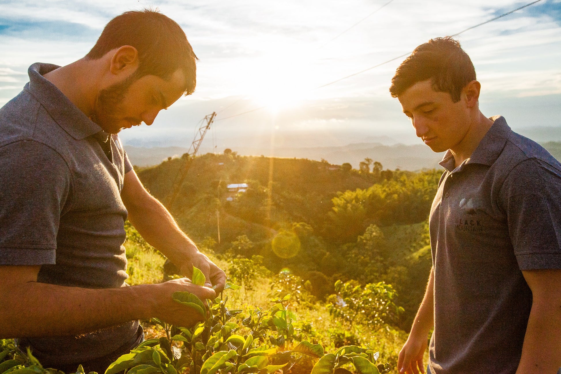 Cafes Muda - El Vergel Specialty Coffee Omni Roasted Colombia Producers