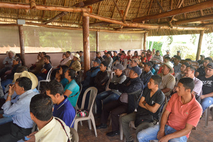 KB Coffee Roasters - El Panal Espresso Coffee, Guatemala Coffee Training