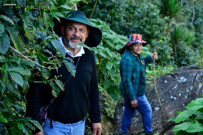 KB Coffee Roasters - La Maravilla, Espresso Guatemala Producer