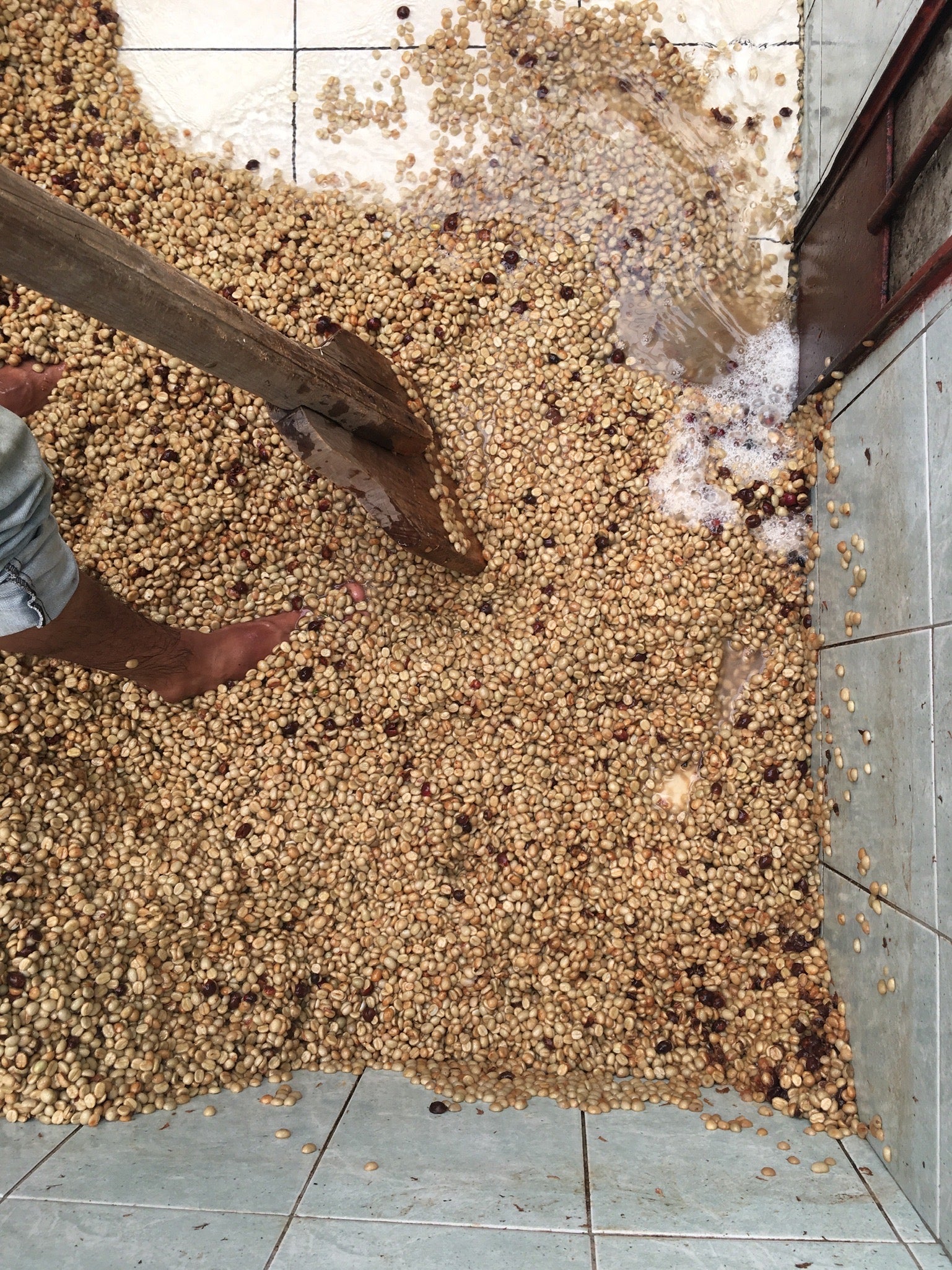KB Coffee Roasters - La Maravilla, Espresso Guatemala Washed