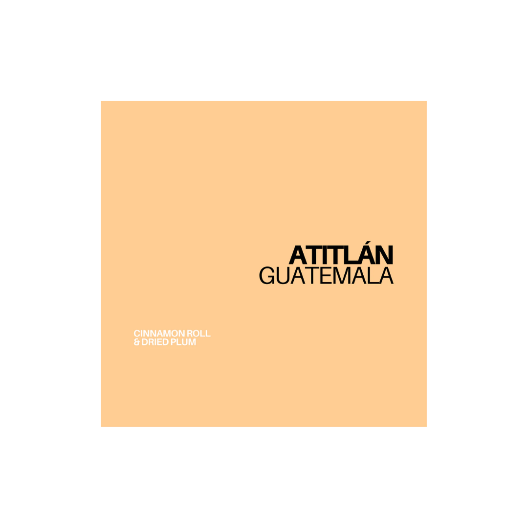 Gust Coffee Roasters - Atitlan Espresso Coffee Guatemala Tasting Notes