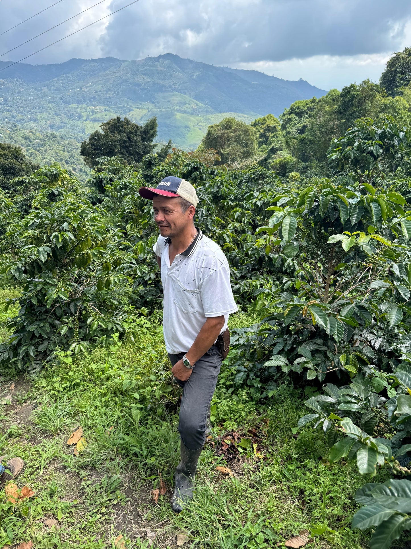 Parcel - COL001 El Pital Specialty Coffee Colombia Producer