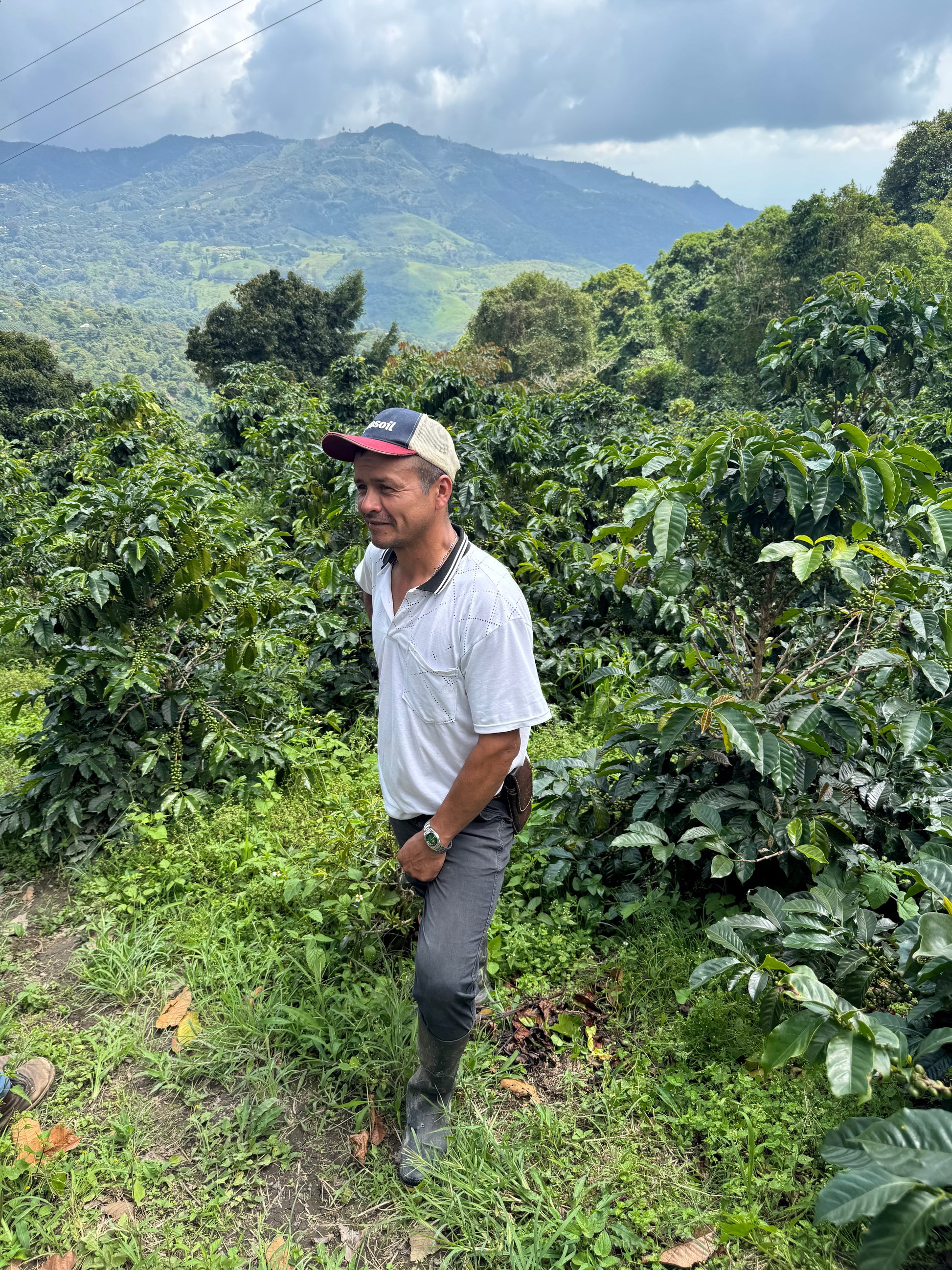Parcel - COL001 El Pital Specialty Coffee Colombia Producer