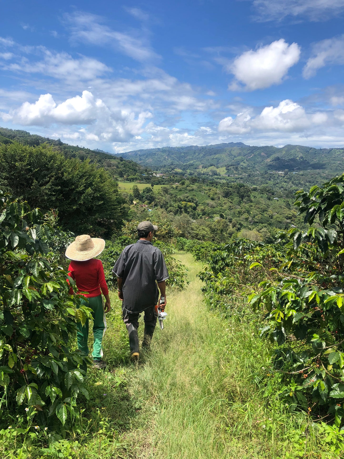 Parcel - COL001 El Pital Specialty Coffee Colombia Farm